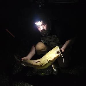 Meet your Posher, Gary